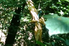 IMG-20180707-WA0022