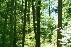 IMG-20180707-WA0027