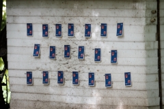 DSCF0891