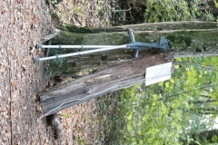 DSCF0943
