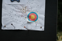 DSCF1334