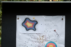 DSCF1335