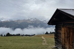 IMG_0361