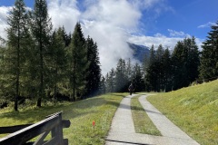 IMG_0384