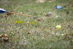 MPREP_CDAG_LONGEOLE_2023042
