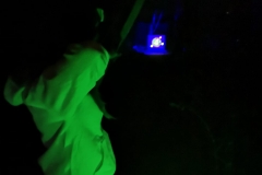 IMG-20180923-WA0016