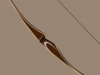Longbow