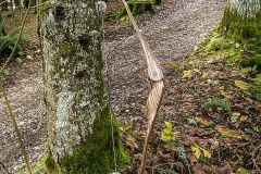 sika3c_2