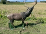 2023-09-24 Top Archer 3D Jussy